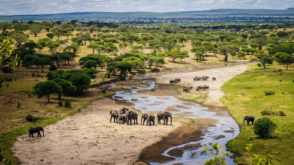 Tarangire National Park