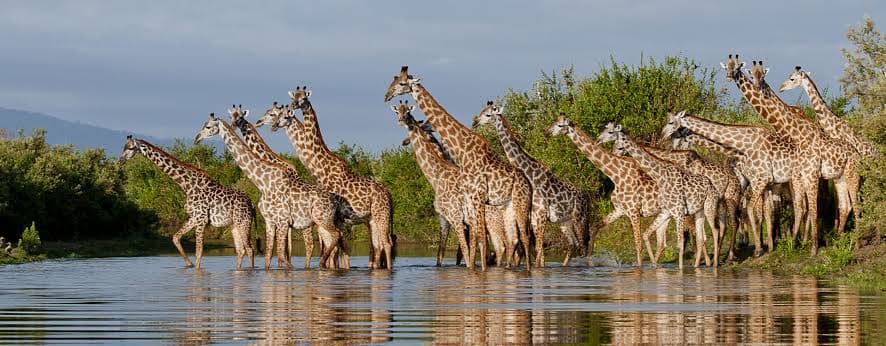 Nyerere National Park