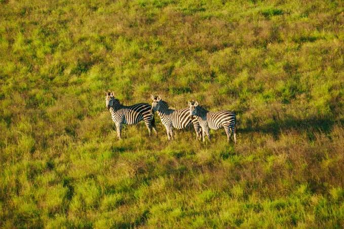Mikumi National Park