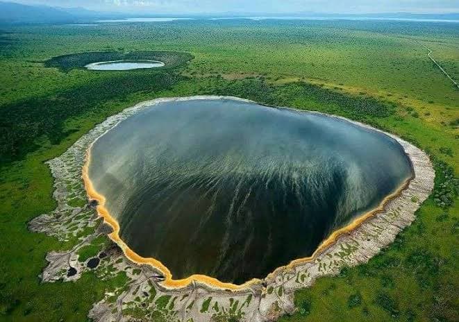 Ngorongoro Crater Discovery